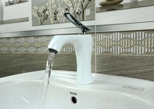 voi-lavabo-nong-lanh-ln20