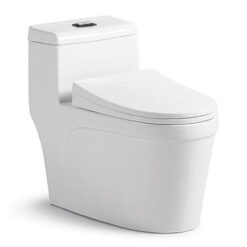 Bồn cầu khối SJD 8810